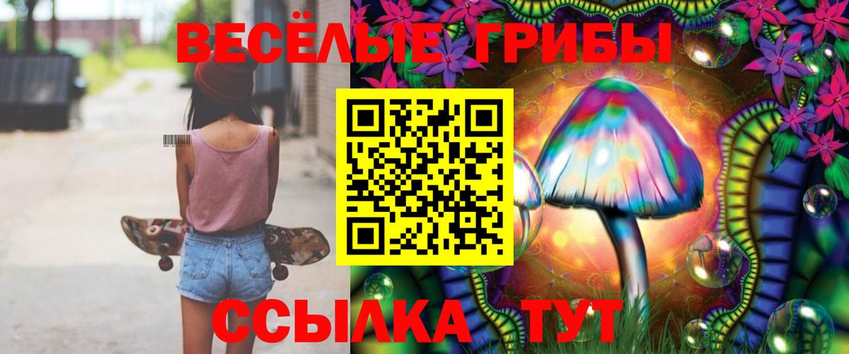 Кудрово  Галлюциногенные грибы мухоморы  Вход с VPN 