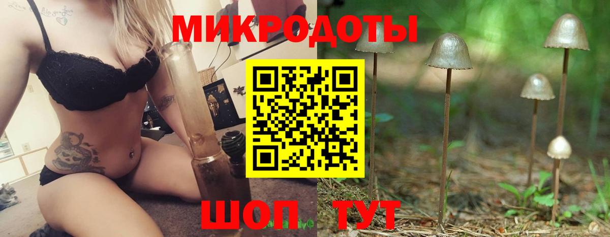 Псилоцибиновые грибы Magic Shrooms Кудрово